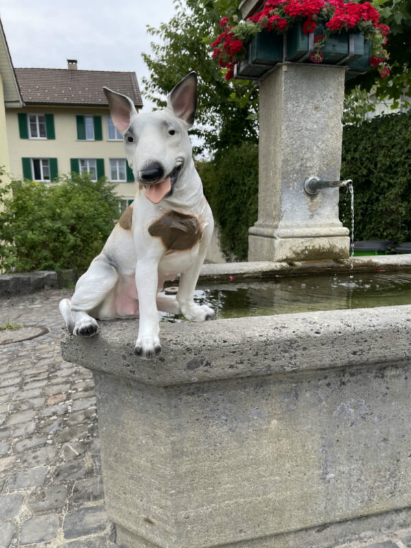 Bullterrier Deko für draussen und drinnen, sitzend, 50 cm hoch 10