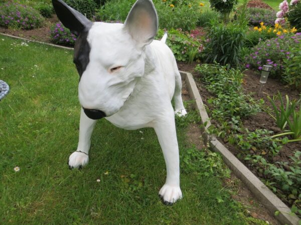 Bullterrier Dekofigur für Garten, lebensgross, 70 cm hoch 3