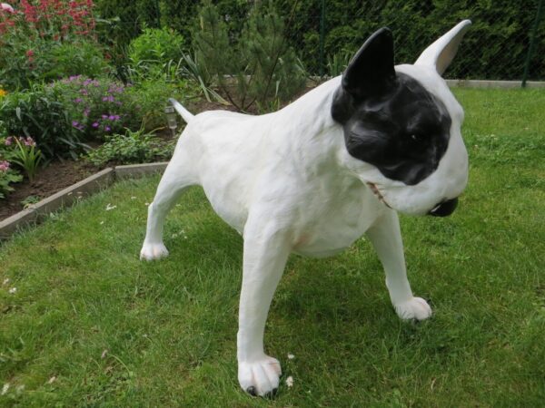 Bullterrier Dekofigur für Garten, lebensgross, 70 cm hoch 4