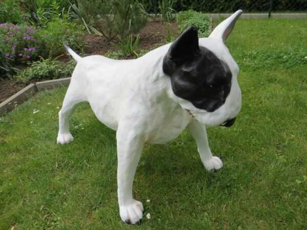 Bullterrier Dekofigur für Garten, lebensgross, 70 cm hoch 5