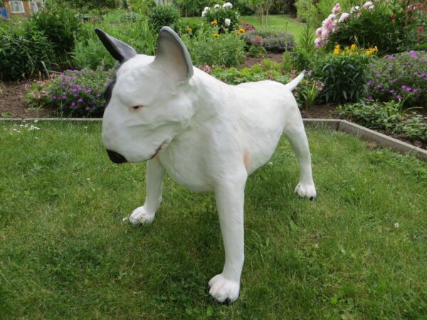 Bullterrier Dekofigur für Garten, lebensgross, 70 cm hoch 6