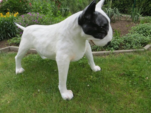 Bullterrier Dekofigur für Garten, lebensgross, 70 cm hoch 7