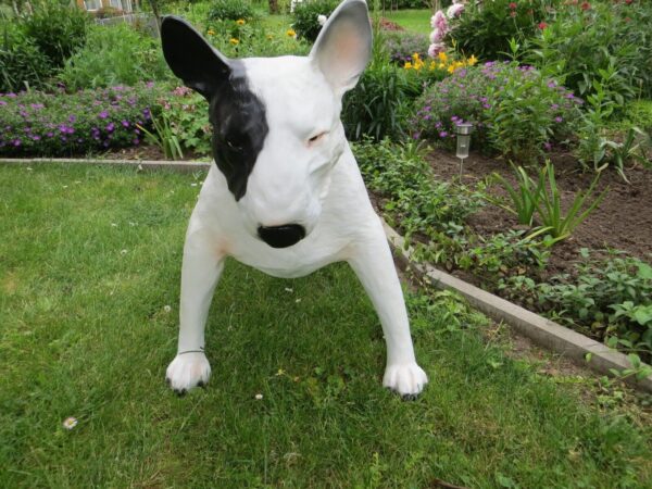 Bullterrier Dekofigur für Garten, lebensgross, 70 cm hoch 8