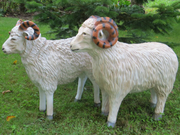 Deko Schafbock für draussen im Garten, 75 cm hoch 2
