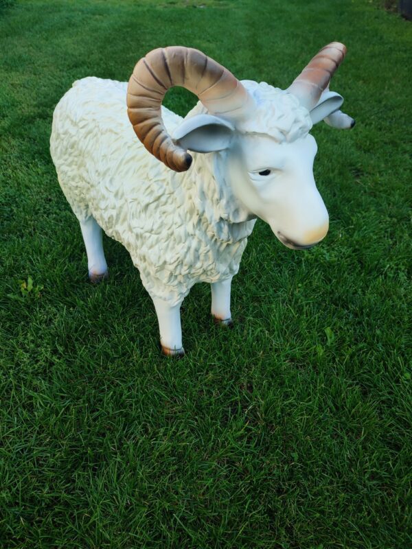 Deko Schafbock für draussen im Garten, 75 cm hoch 4
