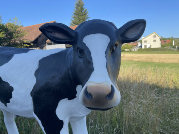 Kalb Figur lebensgross, schwarz-weiss, 100 cm hoch 7