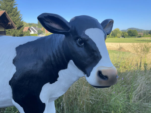 Kalb Figur lebensgross, schwarz-weiss, 100 cm hoch 6