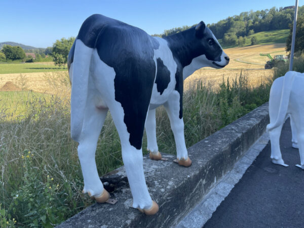 Kalb Figur lebensgross, schwarz-weiss, 100 cm hoch 5