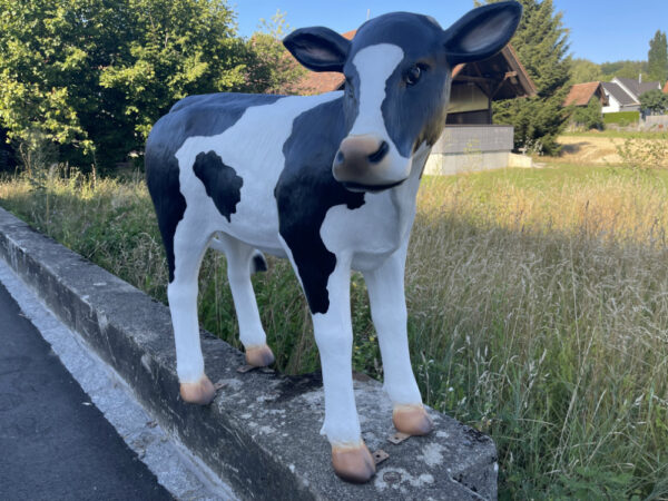 Kalb Figur lebensgross, schwarz-weiss, 100 cm hoch 2