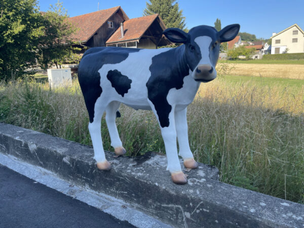 Kalb Figur lebensgross, schwarz-weiss, 100 cm hoch