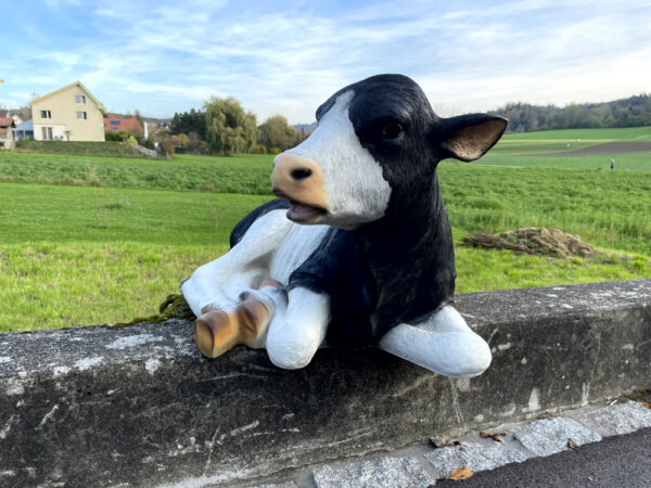 Dekokalb für den Garten, liegend, schwarz-weiss, 90 cm lang 8