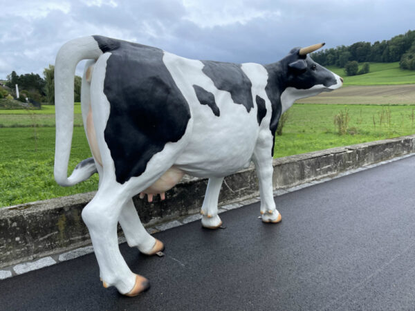 Deko Kuh Figur lebensgross, 170 cm hoch, schwarz-weiss 6