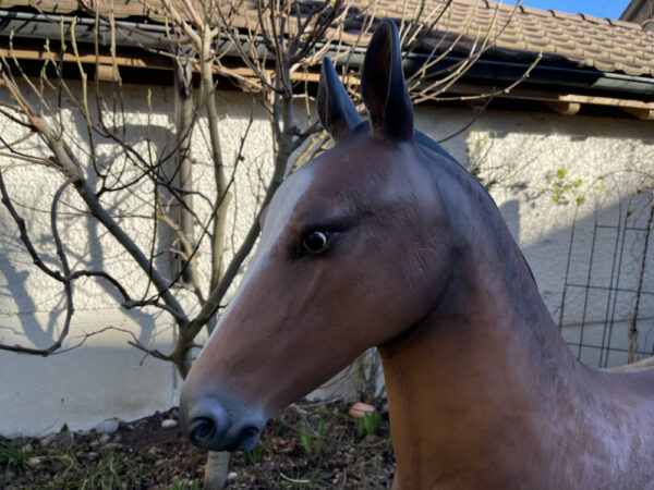 Pferd Dekofigur lebensgrosses Araber-Fohlen, 140cm hoch, braun 8