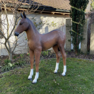 Pferd Dekofigur lebensgrosses Araber-Fohlen, 140cm hoch, braun 3