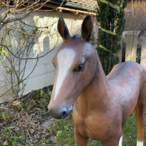 Pferd Dekofigur lebensgrosses Araber-Fohlen, 140cm hoch, braun 8