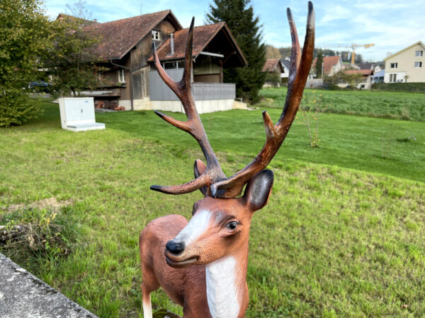 Hirsch als Gartendeko, 115 cm hoch 12