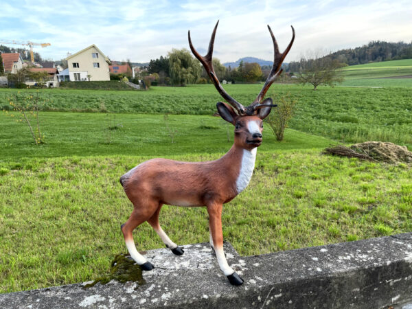 Hirsch als Gartendeko, 115 cm hoch 4