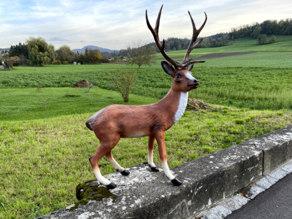 Hirsch als Gartendeko, 115 cm hoch 7