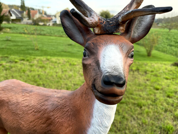 Hirsch als Gartendeko, 115 cm hoch 9