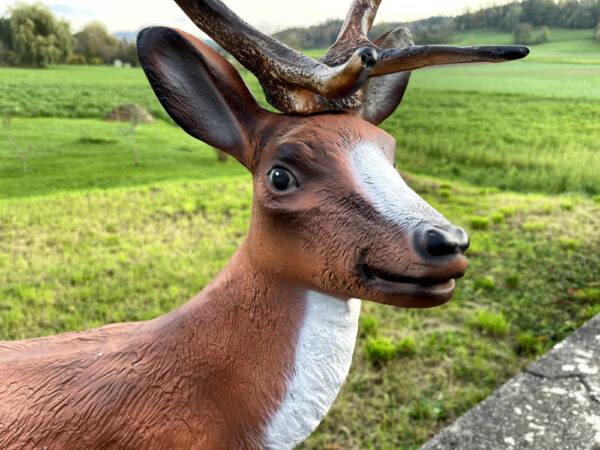 Hirsch als Gartendeko, 115 cm hoch 10