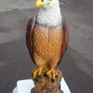 Weisskopfseeadler Dekofigur für draussen und drinnen, 53 cm hoch