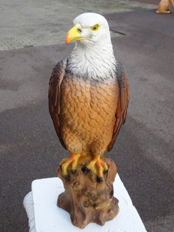 Weisskopfseeadler Dekofigur für draussen und drinnen, 53 cm hoch