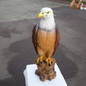 Dekofigur Weisskopfseeadler für Garten und Wohnung, H: 53 cm