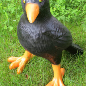Lebensgrosse Alpenkrähe Deko Vogel, 45 cm hoch
