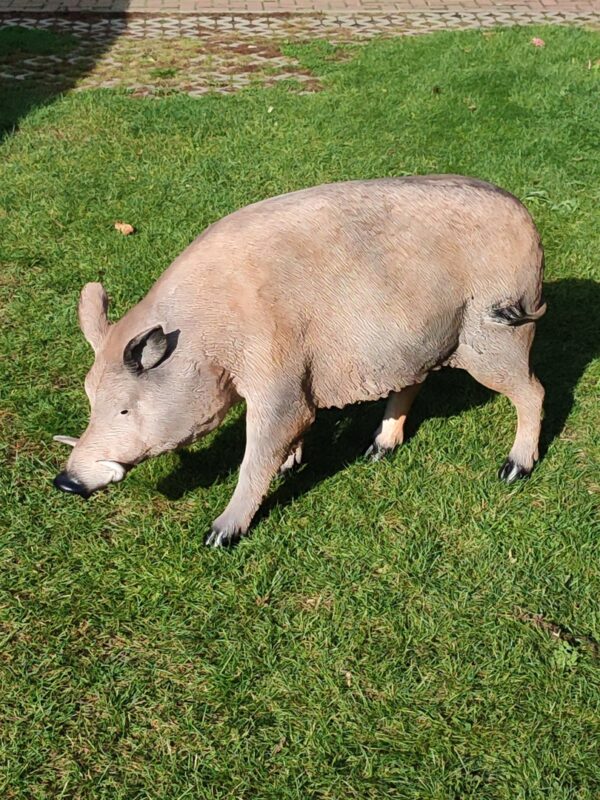 Grosser Keiler als Dekofigur im Garten, 115 cm lang 4