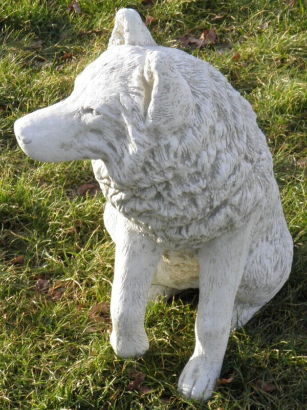 Sitzender Deko Wolf aus Beton für den Garten, 70 cm hoch 6