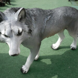 Junger Wolf als Gartendekofigur, 60 cm lang
