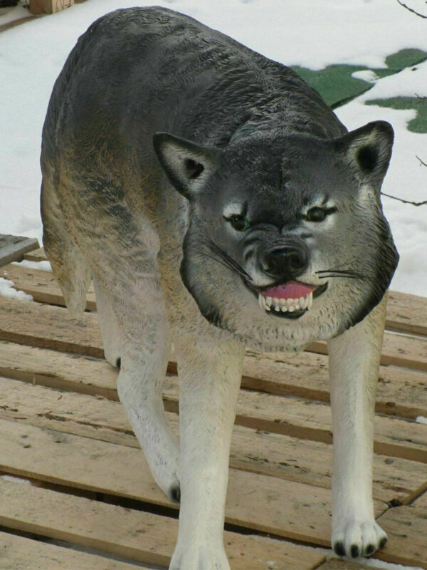 Lebensgrosser Wolf für die Gartendeko, 125 cm lang