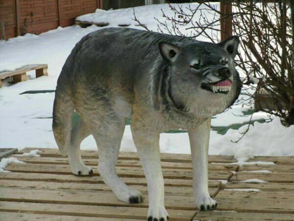 Lebensgrosser Wolf für die Gartendeko, 125 cm lang 2