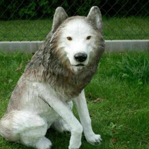 Sitzende Wolf Dekofigur für den Garten, 69 cm hoch 5