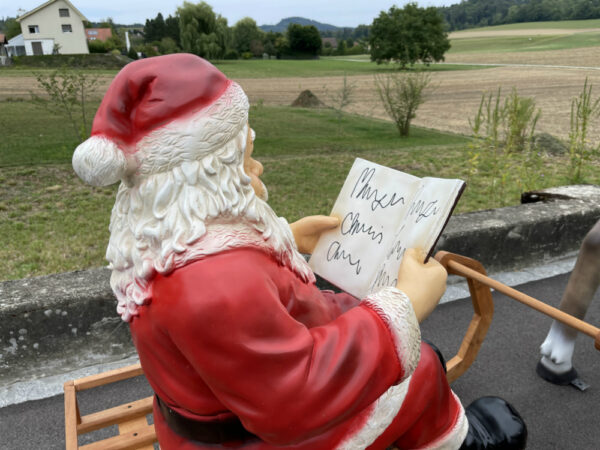 Weihnachtsmann auf dem Schlitten, mit Buch, 130 cm lang 8