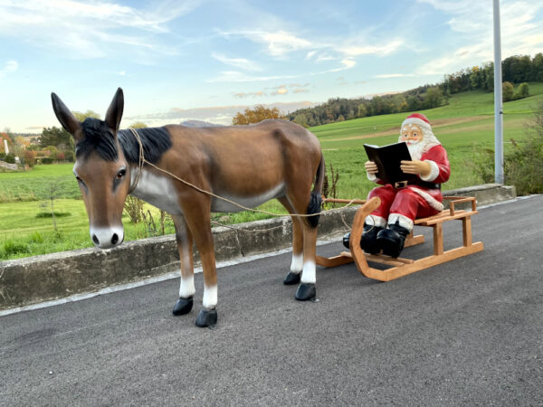 XXL Samichlaus mit Esel lebensgross und Schlitten, 290 cm lang 4