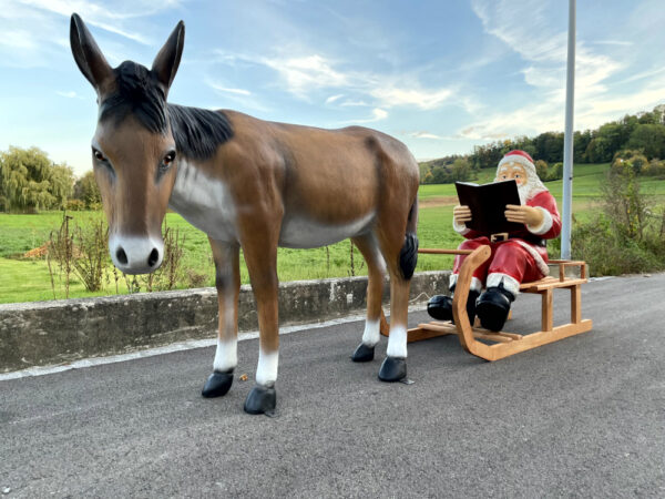 XXL Samichlaus mit Esel lebensgross und Schlitten, 290 cm lang 2