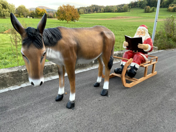 XXL Samichlaus mit Esel lebensgross und Schlitten, 290 cm lang 3