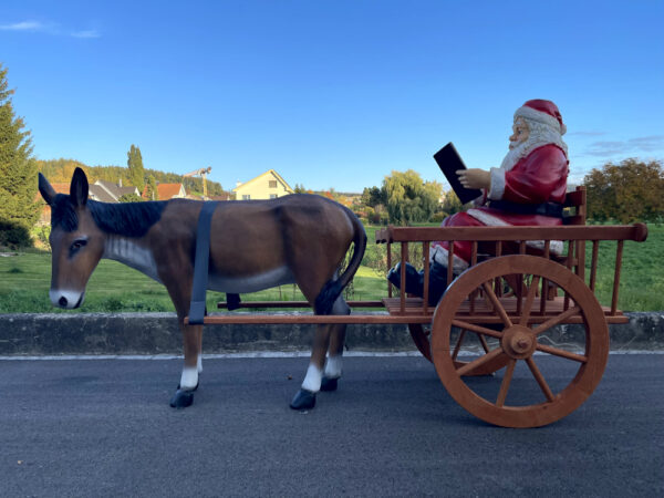 Samichlaus mit Esel und Wagen, liest Buch, 260 cm lang 5