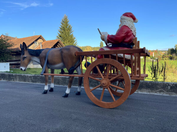 Samichlaus mit Esel und Wagen, liest Buch, 260 cm lang 7