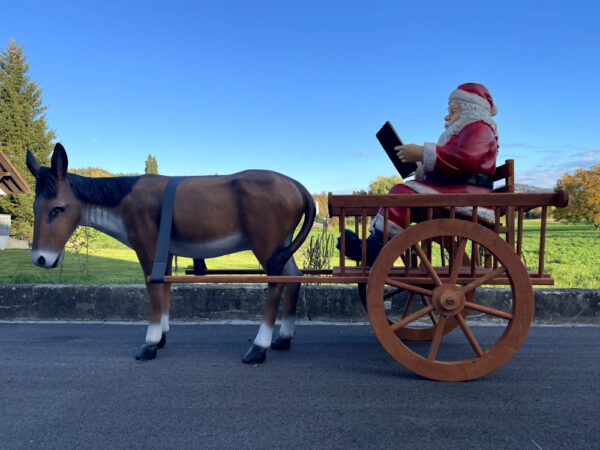 Samichlaus mit Esel und Wagen, liest Buch, 260 cm lang 6