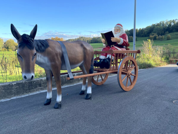 Samichlaus mit Esel und Wagen, liest Buch, 260 cm lang 4