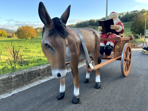 Samichlaus mit Esel und Wagen, liest Buch, 260 cm lang 3