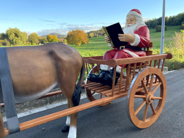 Samichlaus mit Esel und Wagen, liest Buch, 260 cm lang 10