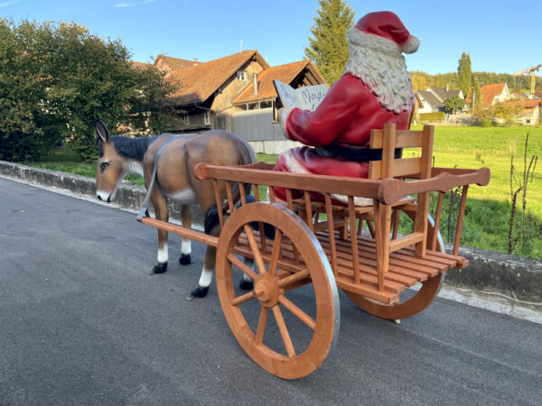 Samichlaus mit Esel und Wagen, liest Buch, 260 cm lang 8