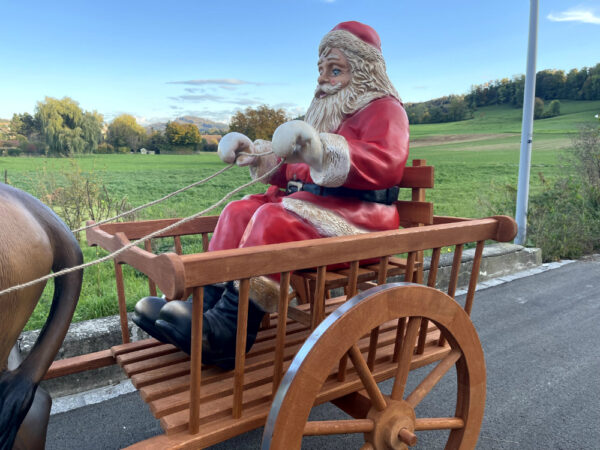 Esel und Samichlaus auf Wagen, 260 cm lang 9