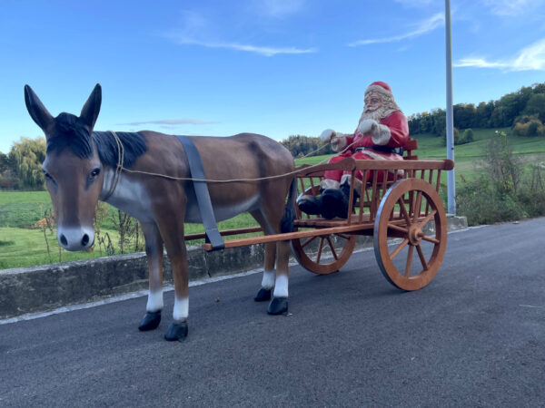 Esel und Samichlaus auf Wagen, 260 cm lang 2