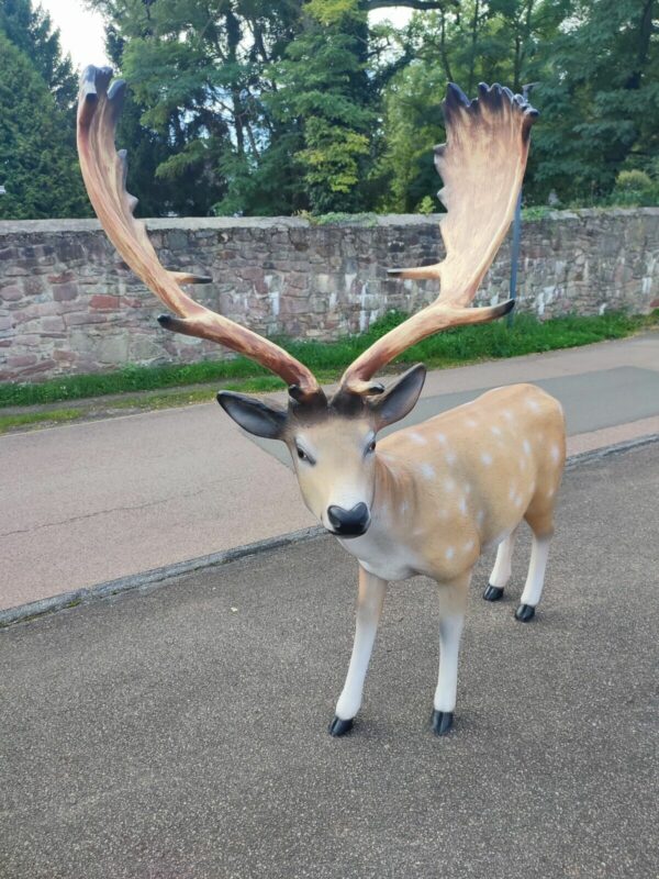 Damhirsch XXL lebensgross Weihnachtsdeko Garten, 175 cm lang 8