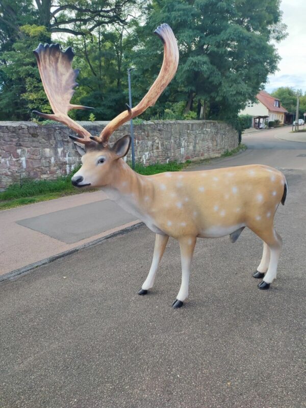 Damhirsch XXL lebensgross Weihnachtsdeko Garten, 175 cm lang 3