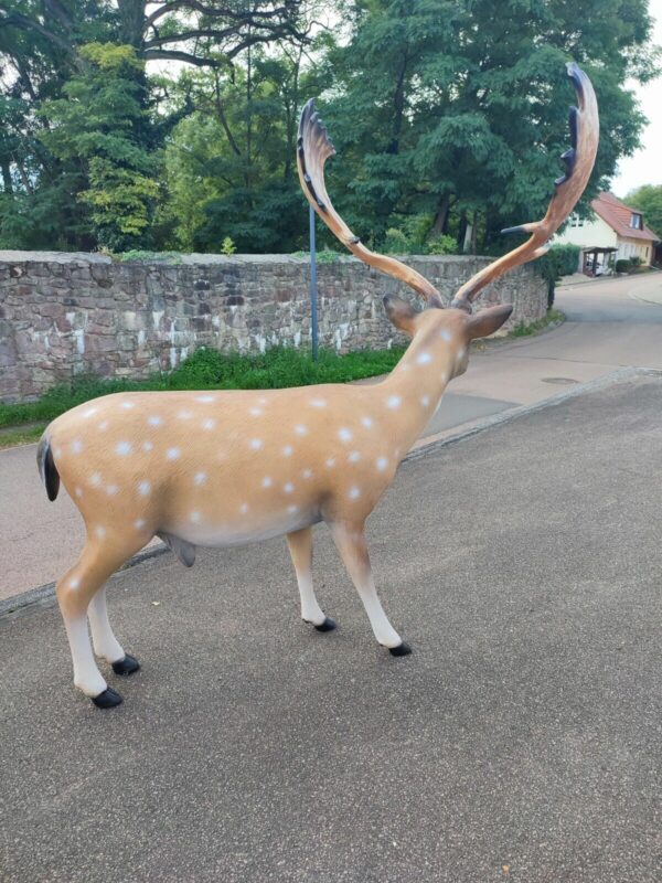 Damhirsch XXL lebensgross Weihnachtsdeko Garten, 175 cm lang 10